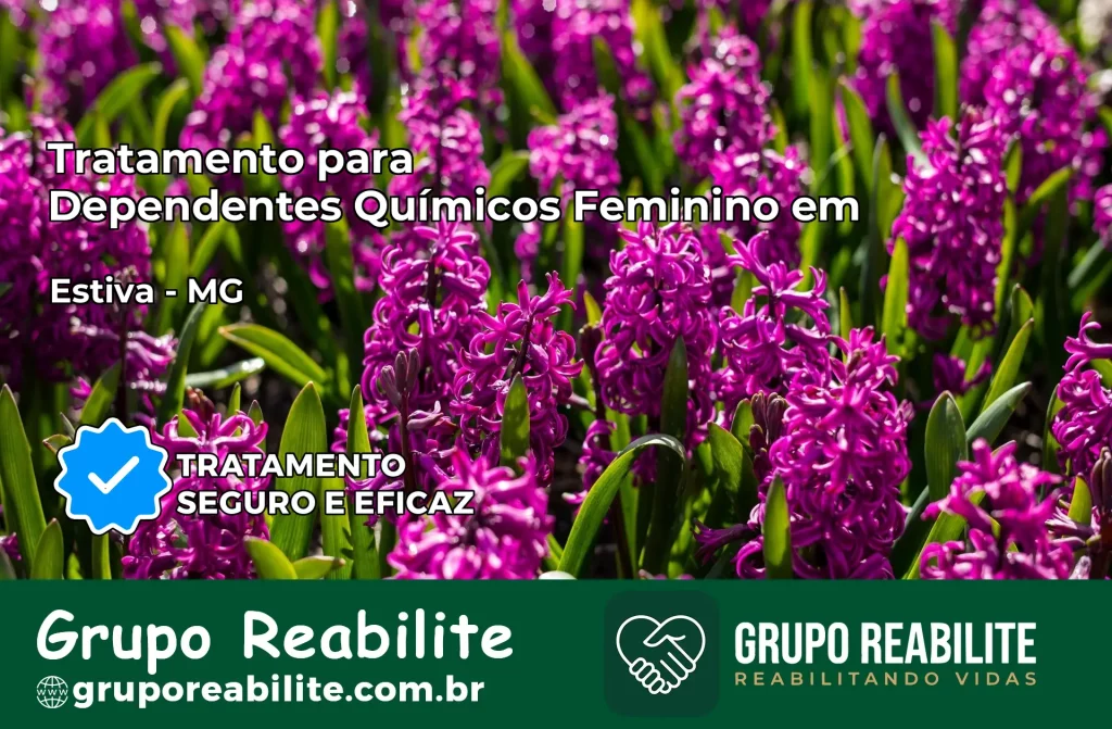 Tratamento para Dependentes Químicos Feminino em Estiva – MG