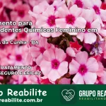 Tratamento para Dependentes Químicos Feminino em Euclides da Cunha – BA