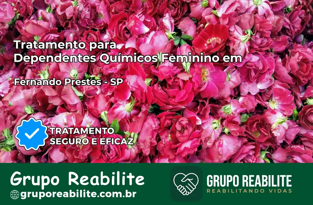 Tratamento para Dependentes Químicos Feminino em Fernando Prestes – SP