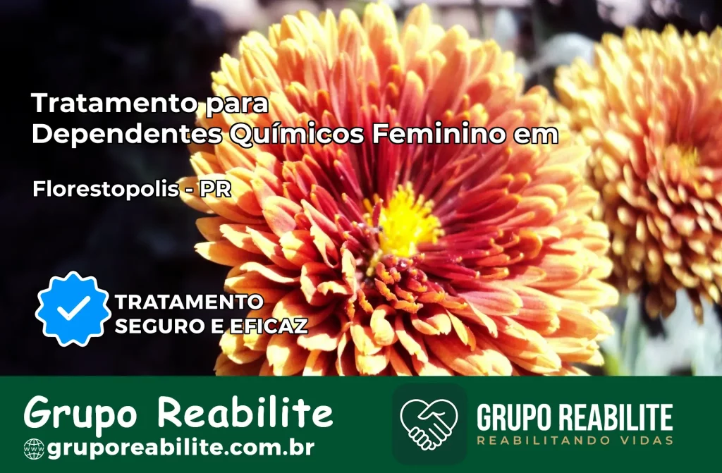 Tratamento para Dependentes Químicos Feminino em Florestópolis – PR