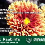 Tratamento para Dependentes Químicos Feminino em Florestópolis – PR