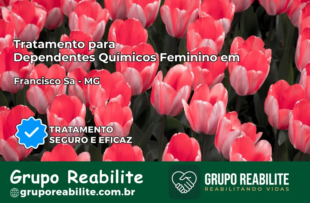 Tratamento para Dependentes Químicos Feminino em Francisco Sá – MG