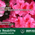 Tratamento para Dependentes Químicos Feminino em Frecheirinha – CE