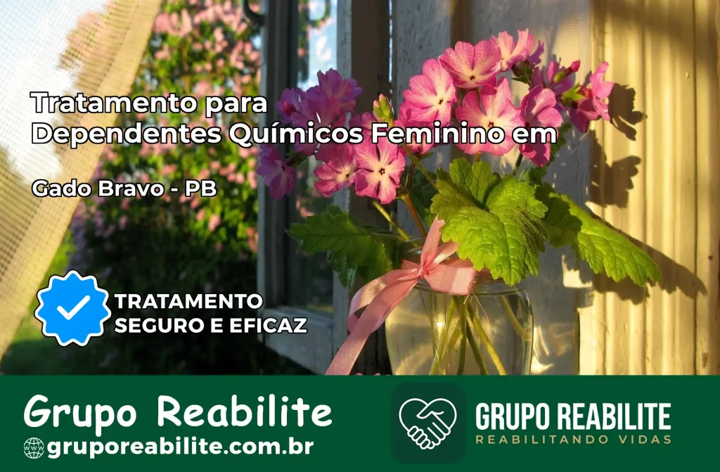 Tratamento para Dependentes Químicos Feminino em Gado Bravo – PB