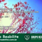 Tratamento para Dependentes Químicos Feminino em Gameleiras – MG