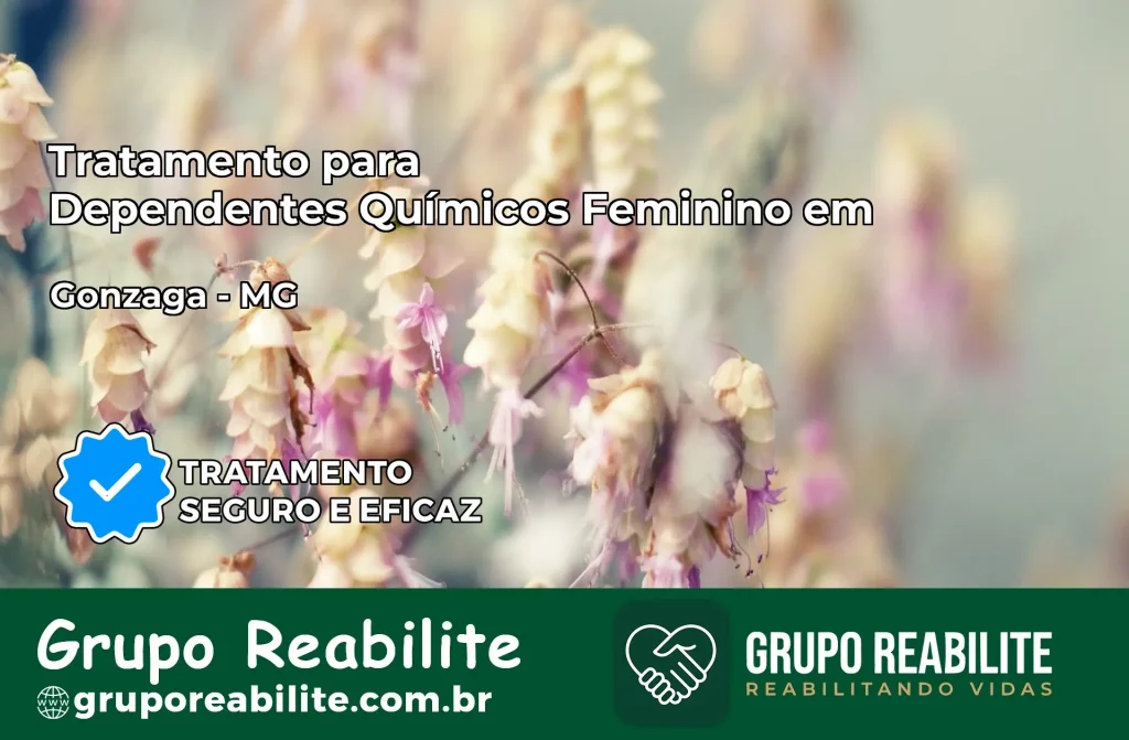 Tratamento para Dependentes Químicos Feminino em Gonzaga – MG