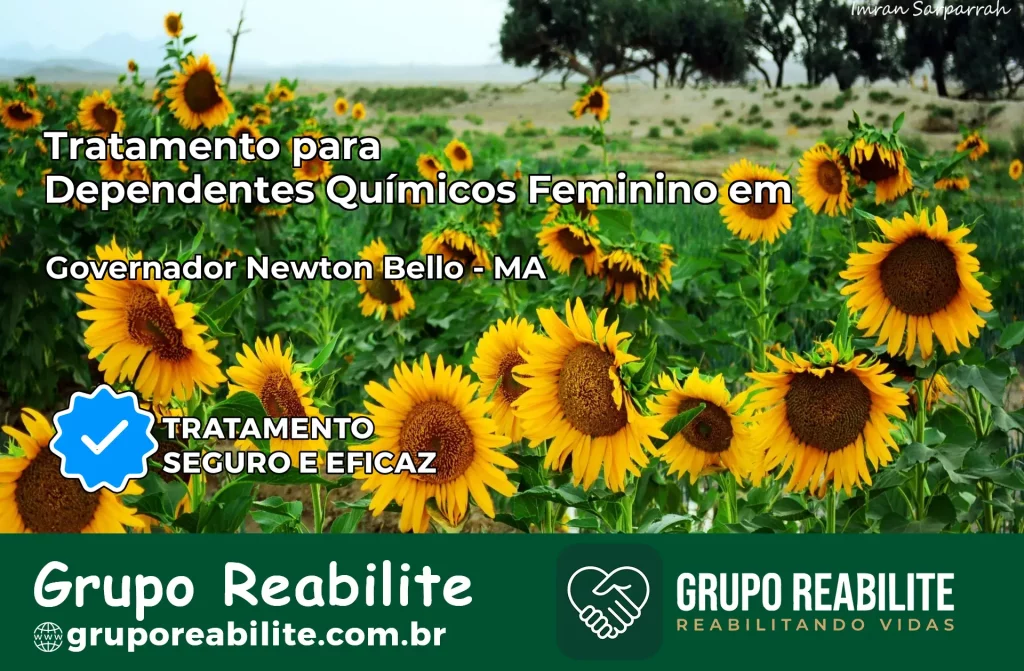 Tratamento para Dependentes Químicos Feminino em Governador Newton Bello – MA