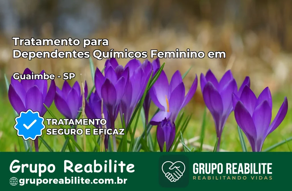 Tratamento para Dependentes Químicos Feminino em Guaimbê – SP