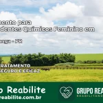 Tratamento para Dependentes Químicos Feminino em Guamiranga – PR
