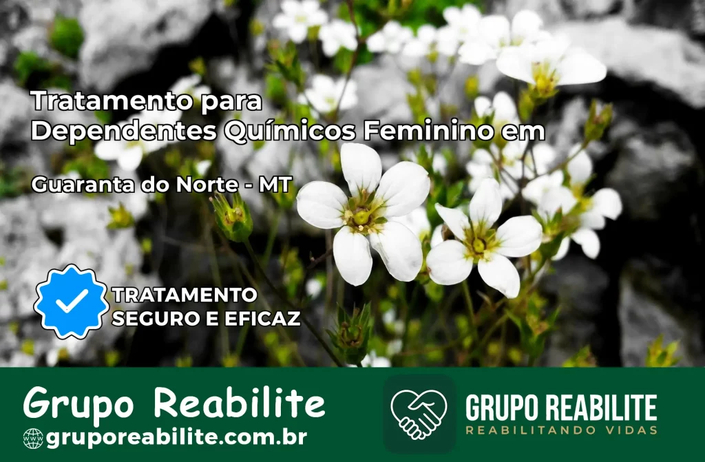 Tratamento para Dependentes Químicos Feminino em Guarantã do Norte – MT