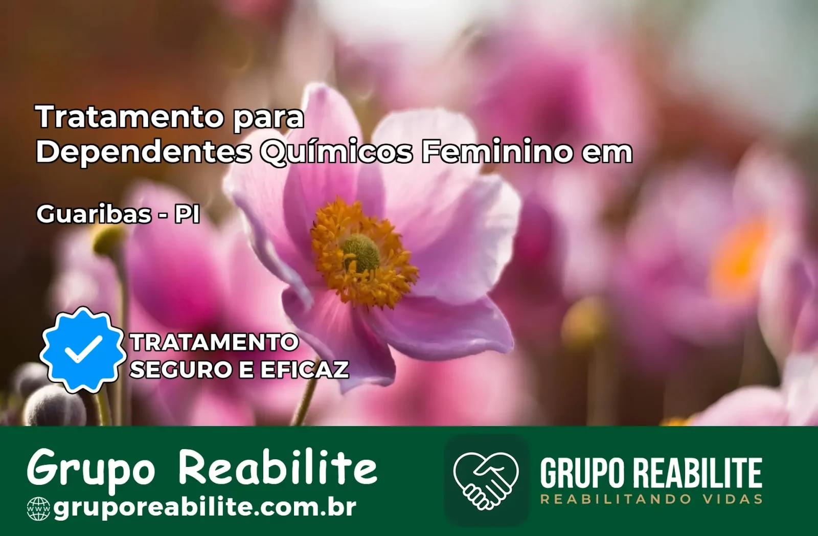 Tratamento para Dependentes Químicos Feminino em Guaribas – PI