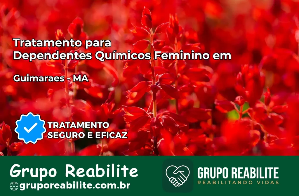 Tratamento para Dependentes Químicos Feminino em Guimarães – MA