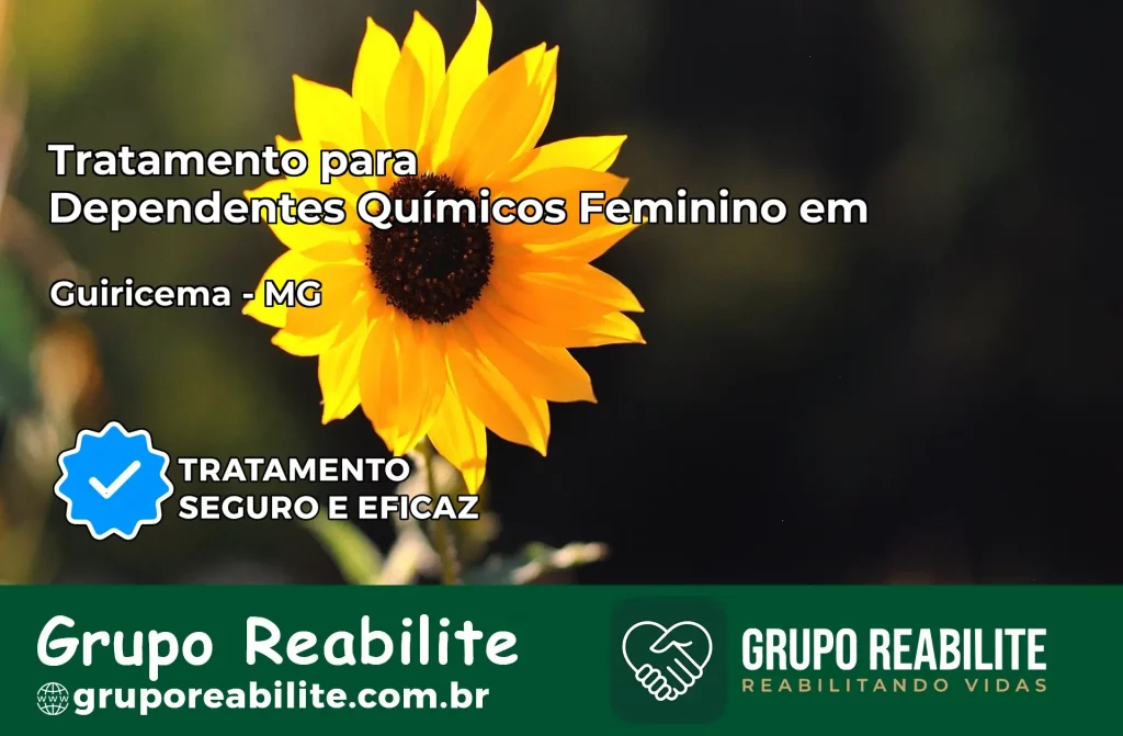 Tratamento para Dependentes Químicos Feminino em Guiricema – MG