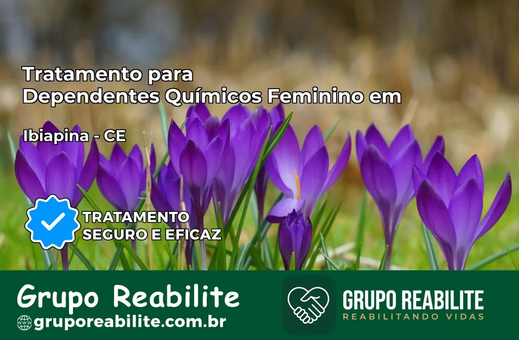 Tratamento para Dependentes Químicos Feminino em Ibiapina – CE