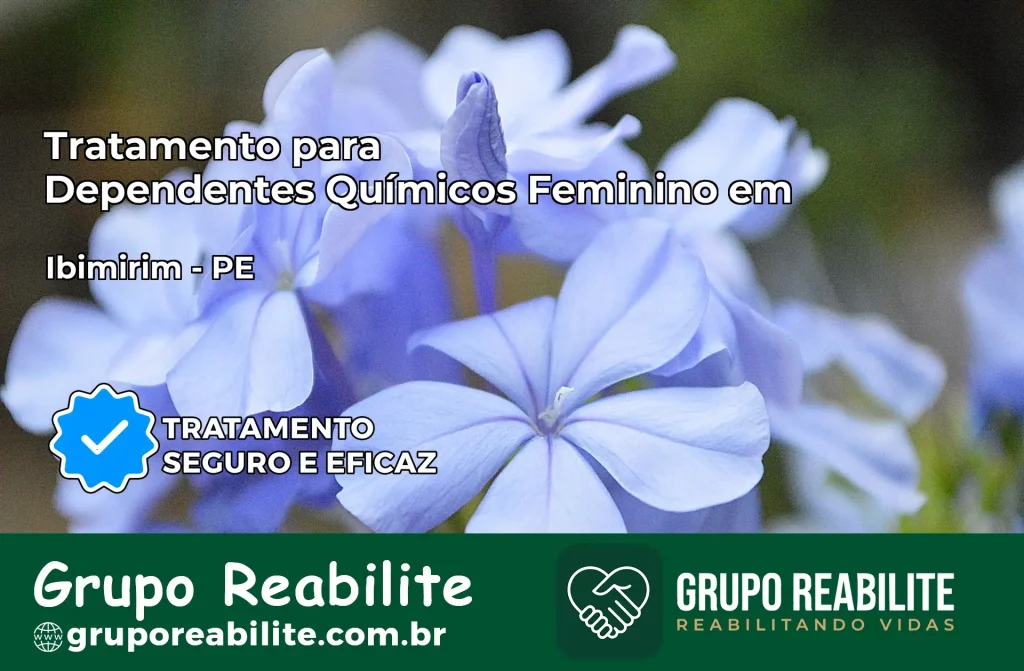 Tratamento para Dependentes Químicos Feminino em Ibimirim – PE