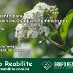 Tratamento para Dependentes Químicos Feminino em Ibiúna – SP