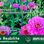 Tratamento para Dependentes Químicos Feminino em Içara – SC
