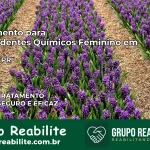 Tratamento para Dependentes Químicos Feminino em Iguatu – PR