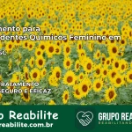 Tratamento para Dependentes Químicos Feminino em Ilhota – SC