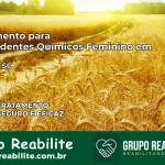 Tratamento para Dependentes Químicos Feminino em Indaial – SC