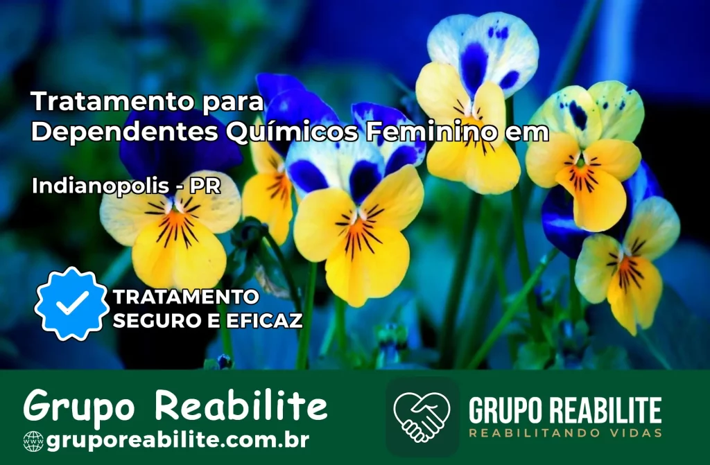 Tratamento para Dependentes Químicos Feminino em Indianópolis – PR
