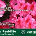 Tratamento para Dependentes Químicos Feminino em Indiara – GO