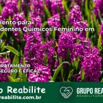 Tratamento para Dependentes Químicos Feminino em Ingá – PB