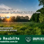 Tratamento para Dependentes Químicos Feminino em Itabaianinha – SE