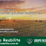 Tratamento para Dependentes Químicos Feminino em Itabirito – MG