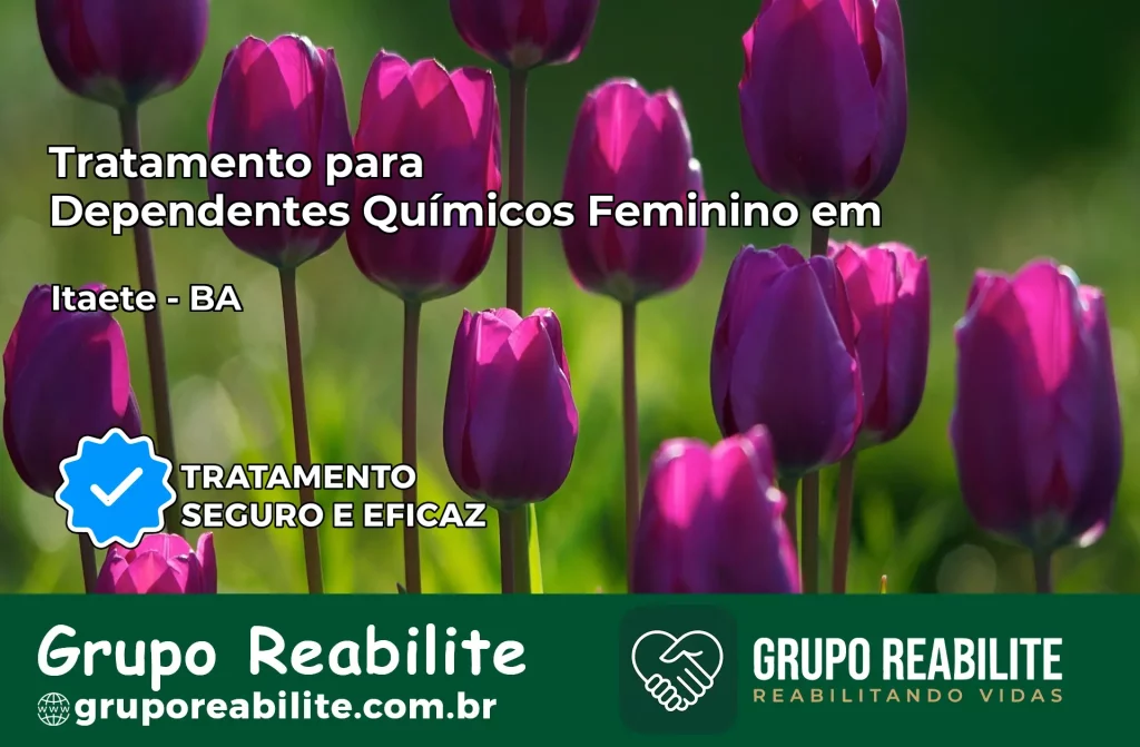Tratamento para Dependentes Químicos Feminino em Itaeté – BA