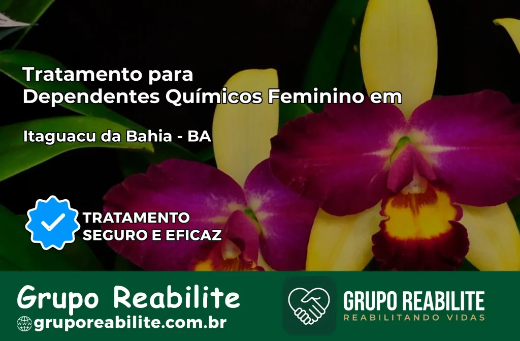 Tratamento para Dependentes Químicos Feminino em Itaguaçu da Bahia – BA