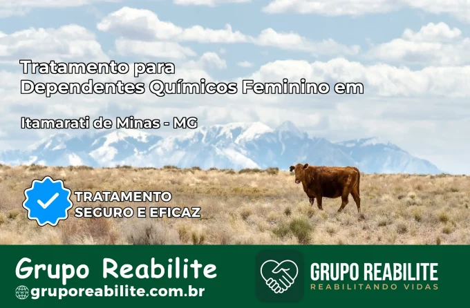 Tratamento para Dependentes Químicos Feminino em Itamarati de Minas – MG