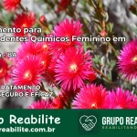 Tratamento para Dependentes Químicos Feminino em Itanagra – BA