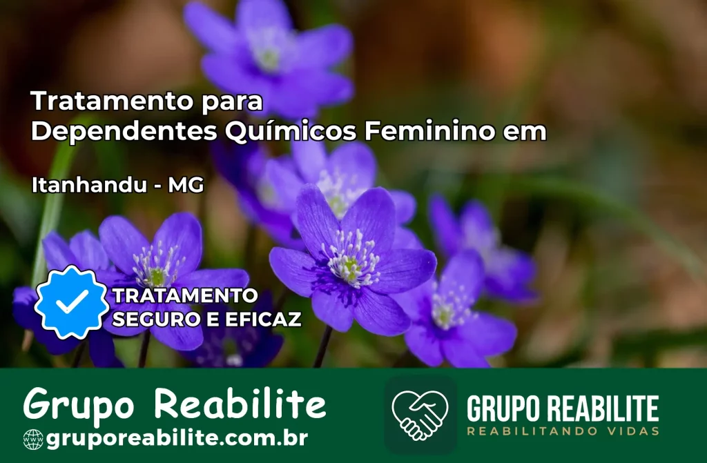 Tratamento para Dependentes Químicos Feminino em Itanhandu – MG