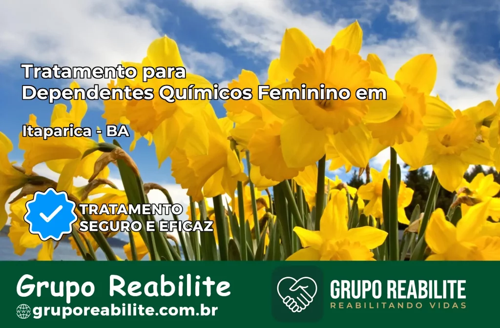 Tratamento para Dependentes Químicos Feminino em Itaparica – BA