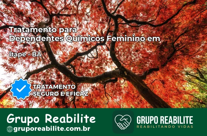Tratamento para Dependentes Químicos Feminino em Itapé – BA
