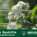 Tratamento para Dependentes Químicos Feminino em Itapecuru Mirim – MA