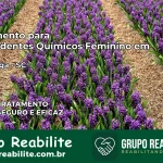 Tratamento para Dependentes Químicos Feminino em Itapiranga – SC