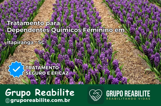 Tratamento para Dependentes Químicos Feminino em Itapiranga – SC