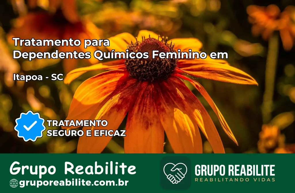 Tratamento para Dependentes Químicos Feminino em Itapoá – SC