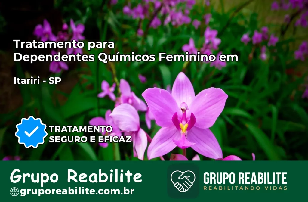 Tratamento para Dependentes Químicos Feminino em Itariri – SP