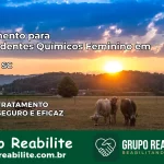 Tratamento para Dependentes Químicos Feminino em Jaborá – SC