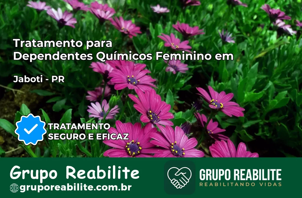 Tratamento para Dependentes Químicos Feminino em Jaboti – PR
