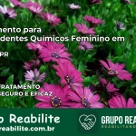 Tratamento para Dependentes Químicos Feminino em Jaboti – PR