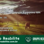 Tratamento para Dependentes Químicos Feminino em Jaguaribe – CE