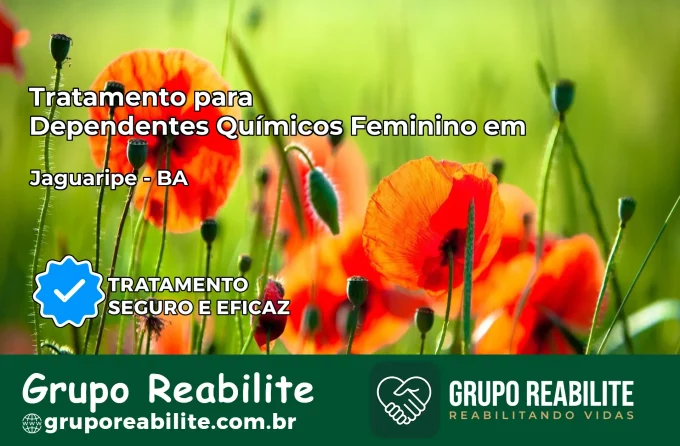 Tratamento para Dependentes Químicos Feminino em Jaguaripe – BA