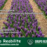 Tratamento para Dependentes Químicos Feminino em Janiópolis – PR
