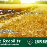 Tratamento para Dependentes Químicos Feminino em Januária – MG