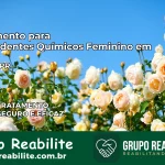 Tratamento para Dependentes Químicos Feminino em Japira – PR