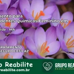 Tratamento para Dependentes Químicos Feminino em Lago Verde – MA